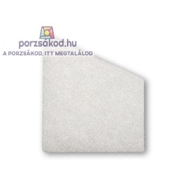   Zelmer 919.0086 Oldalszűrő Aquawelt 919 / ZVC752 / Aquawelt Plus ZVC762 Porszívóhoz (Takarítógéphez) 