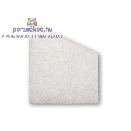 Zelmer 919.0086 Oldalszűrő Aquawelt 919 / ZVC752 / Aquawelt Plus ZVC762 Porszívóhoz (Takarítógéphez) 